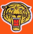 Rochester-Brooklyn Tigers logo
