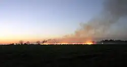 Smoke rises from a fire, and is dispersed by wind