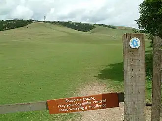 The highest point of the South Downs, 270 metres (890 ft), Butser Hill National Nature Reserve,[27] south-west of Petersfield, 240-hectare (590-acre) biological and geological Site of Special Scientific Interest[28][29] and Special Area of Conservation[30]