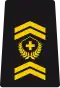 WO-2 - Staff warrant officer