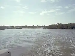 Caladesi Park's boat marina, in the distance; the low shoreline trees are mangroves.