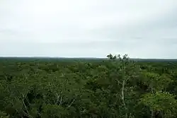 Calakmul Biosphere Reserve