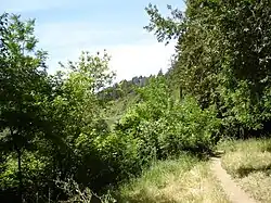Trail to Russian River at Rio Nido, now overgrown with weeds and brush, 2008