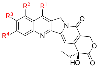 Camptothecin with radicals