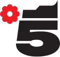 Canale 5's seventh logo used from 1987 to 2001