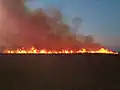 Sugar cane burns before harvesting for the Broadwater mill, 2007