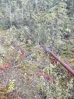 An old pipeline in overgrown bush