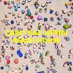 An overhead photo of a crowd of beachgoers and multicolored umbrellas