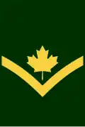 Early post unification Private (qualification level 4a) insignia with maple leaf.