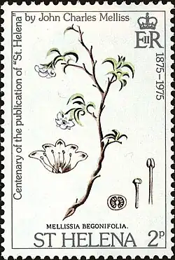 A postage stamp of St. Helena with an illustration of the plant, Mellissia begonifolia. Text on the stamp reads: "Centenary of the Publication of St Helena by John Charles Melliss. 1875-1975. Mellissia begonifolia. St. Helena 5p"