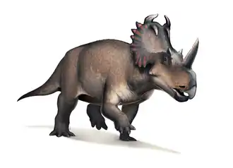 Centrosaurus apertus