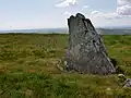 An upright stone with lichen amongst greenery in the foreground with undulating scenery in the distance behind