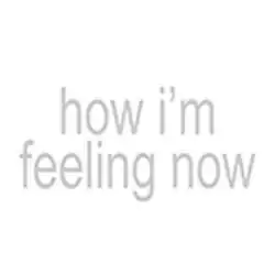 The words "how i'm feeling now" written in grey lowercase, low-resolution Arial Narrow font on a white background.