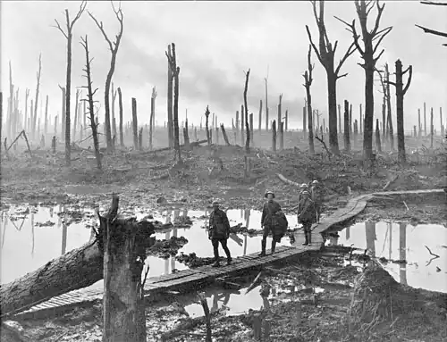 Image 22 Passchendaele Photo credit: James Francis Hurley Soldiers of an Australian 4th Division field artillery brigade on a duckboard track passing through Chateau Wood, near Hooge in the Ypres salient, October 29, 1917. The photo was taken in the vicinity of the Battle of Passchendaele, also known as the Third Battle of Ypres, which was one of the major battles of World War I. More selected pictures