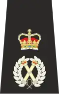 Isle of Man Police Chief Constable Epaulette