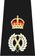 Chief Constable