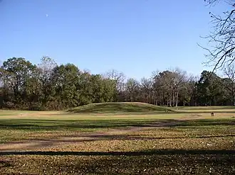 A mound amidst a field of short grass, fallen leaves and a trail