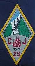 Insignia of CJF 29 - Team 3.
