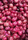 Closeup view of onion collection
