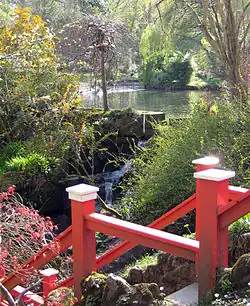 Clyne Gardens, Japanese Pond