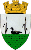 Coat of arms of Fălești