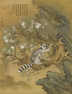 畫交阯果然 Cochin Lemur, 1761