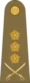 Colonel