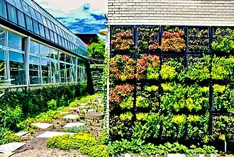 Living wall display at the conservatory.