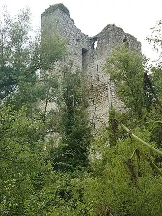 Coonagh Castle, near Doon, County Limerick