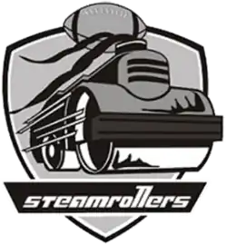 Team logo