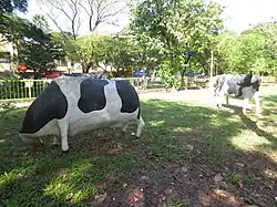 Sculpted cows are placed at the park to remind the people of the place's history as a thriving hacienda decades ago