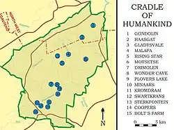 A map of the Cradle of Humankind with 15 blue dots indicating various fossil-bearing caves. Paranthropus is known from Kromdraai, Swartkrans, Sterkfontein, Gondolin, Cooper's, and Drimolen Caves