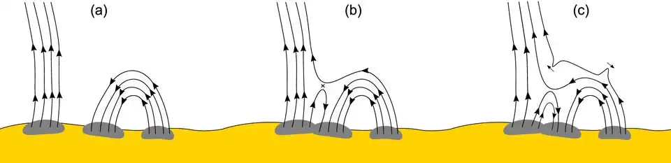 Close to the Sun, and especially above active regions, there are open and closed magnetic field lines. The closed lines are loops of magnetism that arch up into the solar atmosphere before curving round and disappearing back into the Sun.