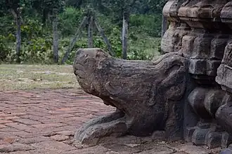 Crocodile head shaped water outlet