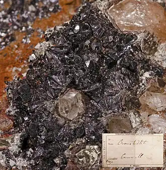 Cronstedtite- Autograph of Pisani - Cornwall, England