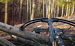 Modern hunting crossbow