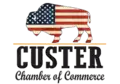 Official seal of Custer
