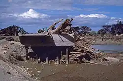 Image showing a mangled bridge split across a river with wood debris piled up against a section of the bridge.
