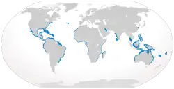 Bull shark geographic range