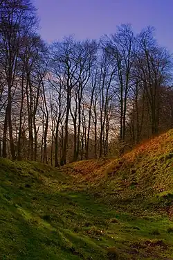 Inside the ditch surrounding Danebury