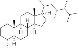 Skeletal formula of dinosterane