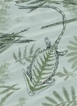 Life reconstruction of Diplocaulus, by Dimitry Bogdanov