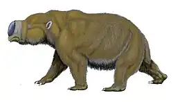 Diprotodon optatum