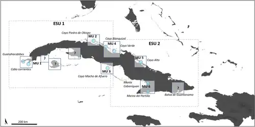 A map displaying the populations of Cyclura nubila nubila in Cuba