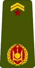 Commandant (Djiboutian Army)