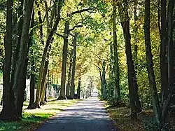 Domaine du Lys-Chantilly, Grande Avenue