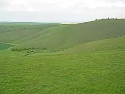 Downland on Milk Hill
