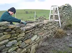 Building stone walls