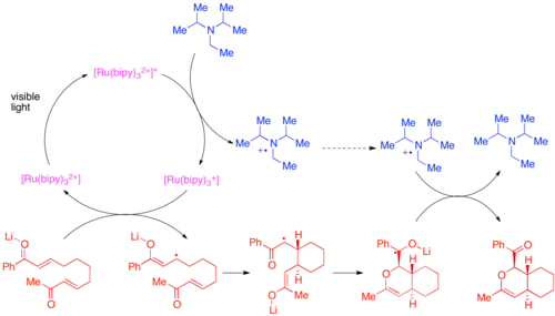 Diagram of Photocatalytic bis-enone hetero-Diels–Alder reaction