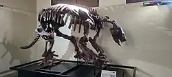 brown skeleton of a quadruped